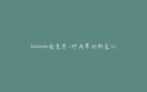 lookbook啥意思(时尚界的新宠儿是什么)