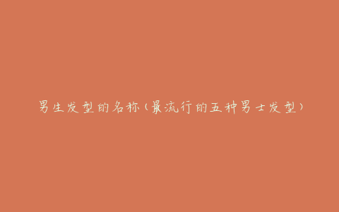 男生发型的名称(最流行的五种男士发型)