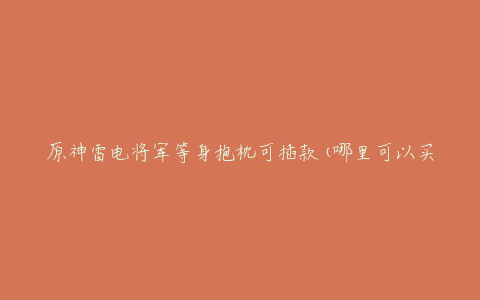 原神雷电将军等身抱枕可插款(哪里可以买到？)