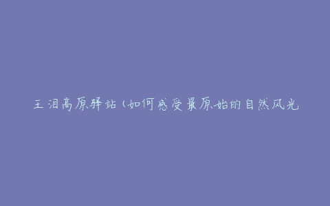 王泪高原驿站(如何感受最原始的自然风光)