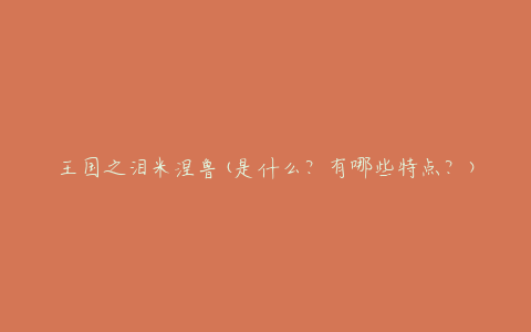 王国之泪米涅鲁(是什么?有哪些特点?)