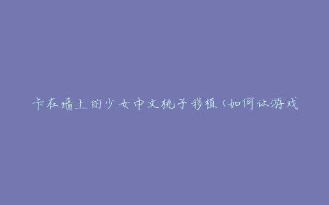 卡在墙上的少女中文桃子移植(如何让游戏运行更流畅)
