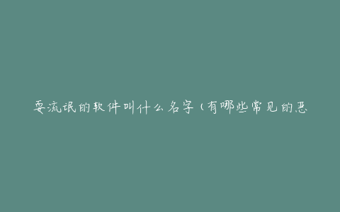 耍流氓的软件叫什么名字(有哪些常见的恶意软件名称)