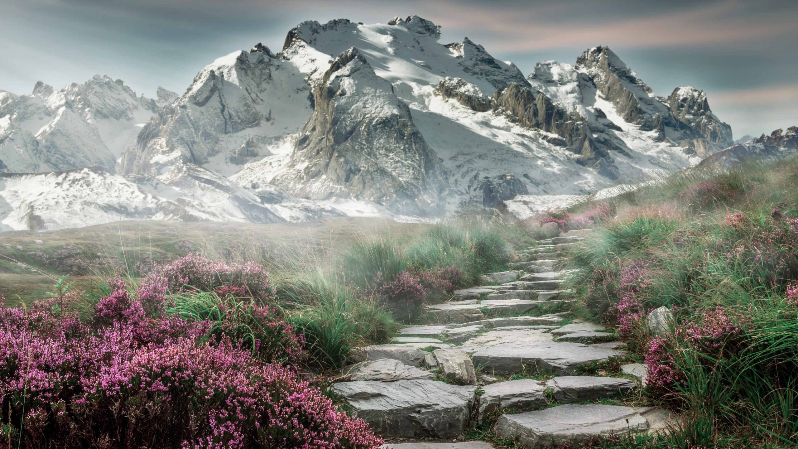 5000个毛囊植发的价格(5000个毛囊植发的价格宁波)