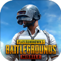 pubg mobile亚服