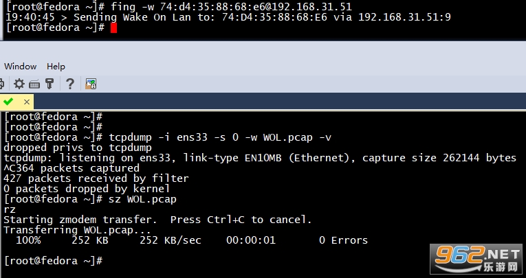 fing网络扫描仪查看网络摄像头