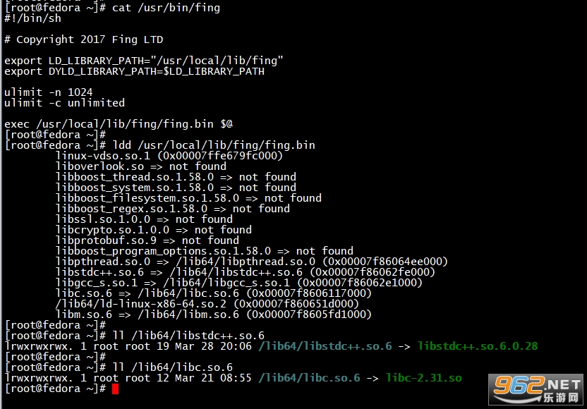 fing网络扫描仪查看网络摄像头