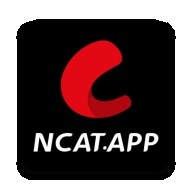 网飞猫软件下载