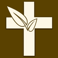 伴读圣经免费2024