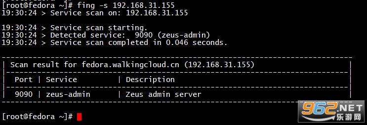 fing网络扫描仪查看网络摄像头