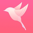 缘来客交友app下载