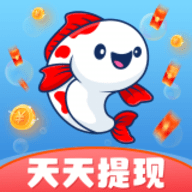番鱼短视频红包版 1.0.2 安卓版