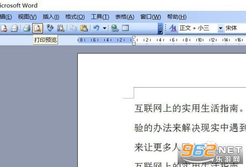 Microsoft Word软件