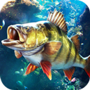 欢乐钓鱼大师更新1.0.0.49750版本