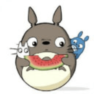 龙猫追剧app 1.0.9 安卓版