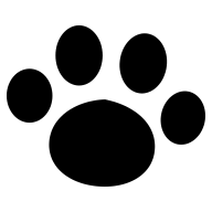 猫哈哈app 0.0.1 安卓版