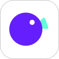 拍鸭app 3.2.0 安卓版