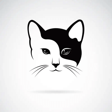 白夜猫影视app 4.0.9 安卓版