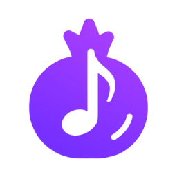 石榴音乐app 1.0.2 安卓版