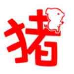 小猪视频app下载网址进入安卓完整版