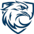 蓝天之鹰播放器软件下载手机版 v1.1