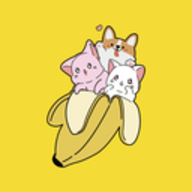 播皮直播软件 1.0.5 安卓版