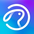月兔直播app下载最新版
