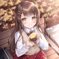 番薯动漫去广告版 1.0 最新版