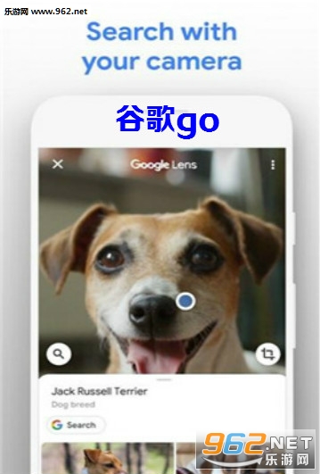 谷歌go app
