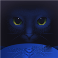 夜猫影视