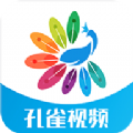 孔雀视频免费观看