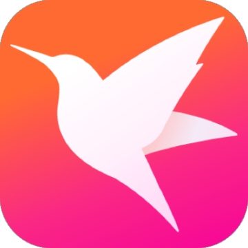 迅雷直播官方版下载