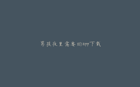 男孩夜里需要的app下载