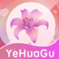 野花谷相机app官方下载 v1.1