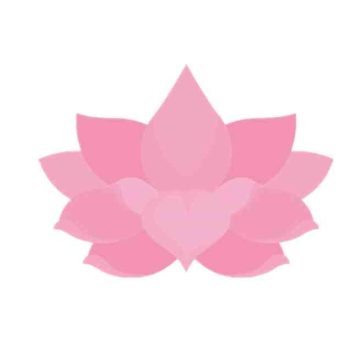 合欢视频安卓安装污