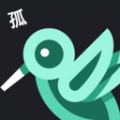 孤独的鸟类家app手机版下载 v1.2