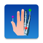 e-Anatomy软件
