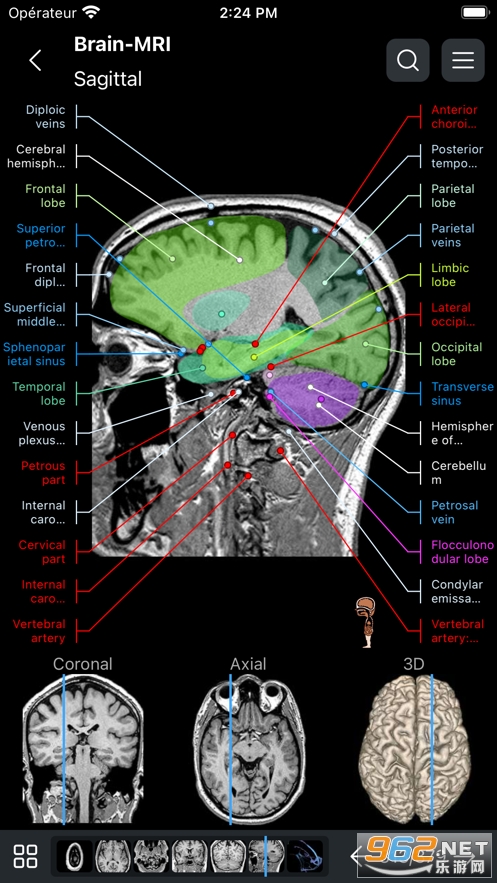 e-Anatomy软件