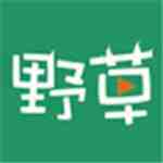 野草视频高清福利版