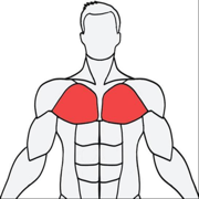musclewiki安卓app