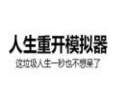 人生重开模拟器