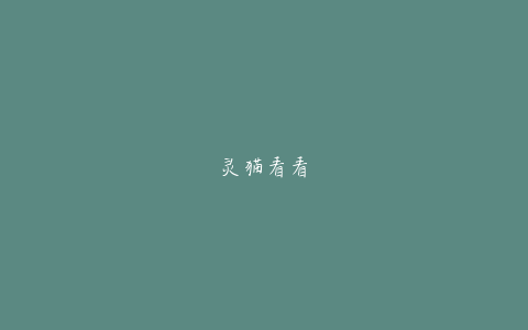 灵猫看看