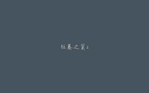 狂暴之翼2