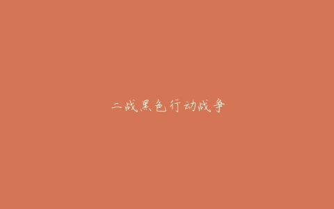 二战黑色行动战争