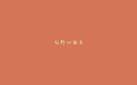 狂野四驱车