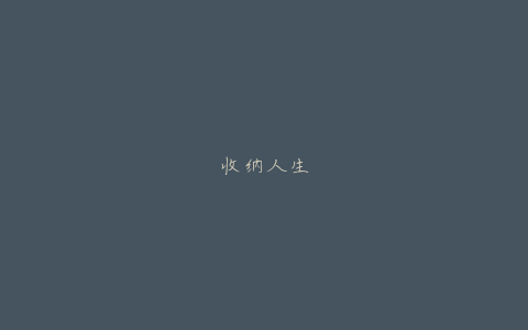 收纳人生