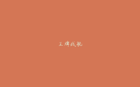 王牌战舰