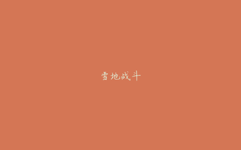 雪地战斗