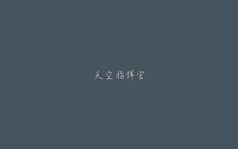 天空指挥官