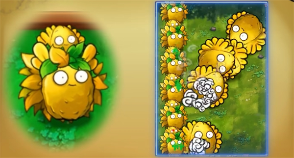 植物大战僵尸融合版旅行2.0.3最新版本